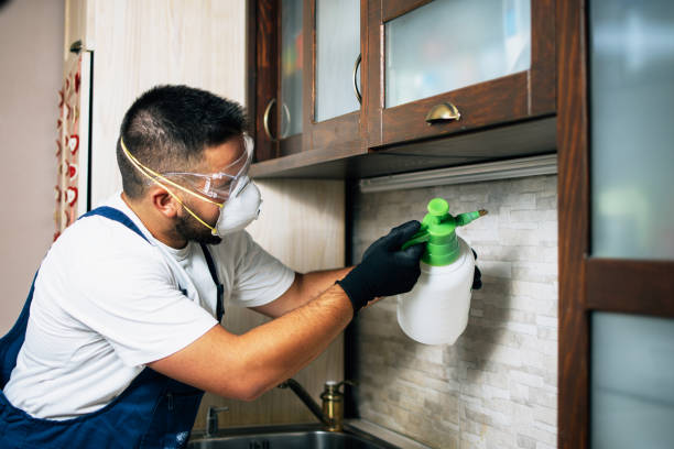 Best Affordable Pest Control Services  in Geneseo, IL
