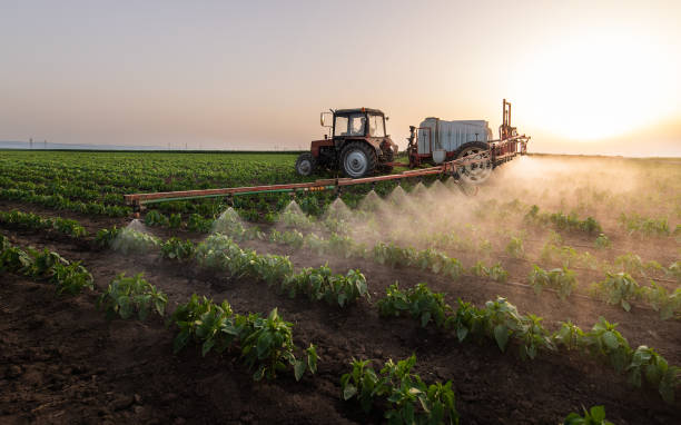 Best Best Pest Control Companies  in Geneseo, IL
