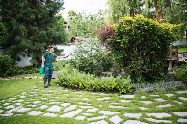 Best Pest Control Near Me  in Geneseo, IL