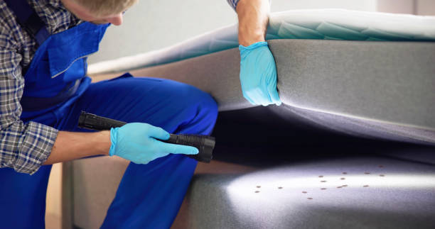 Best Emergency Pest Control  in Geneseo, IL